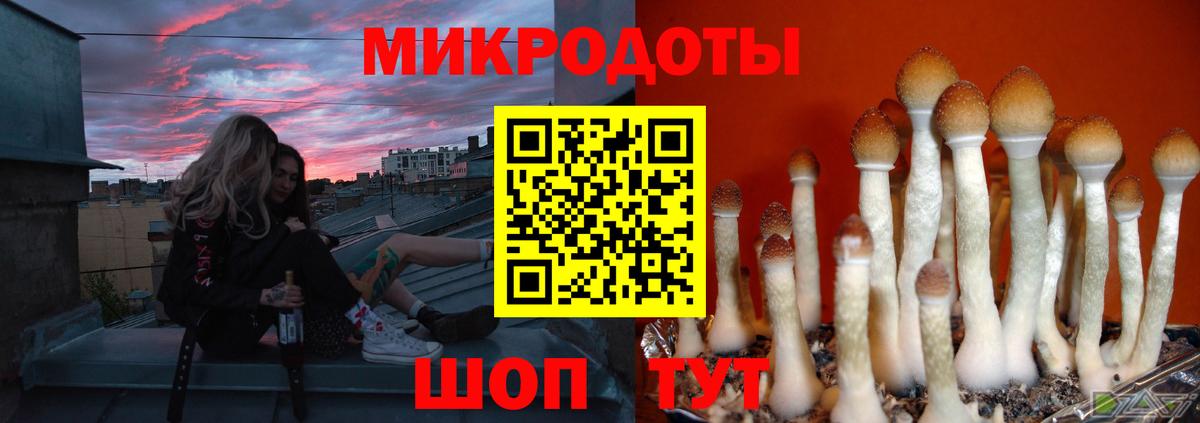 Усть-Джегута  Псилоцибиновые грибы MAGIC MUSHROOMS  Вход с VPN  Галлюциногенные грибы Magic Shrooms 