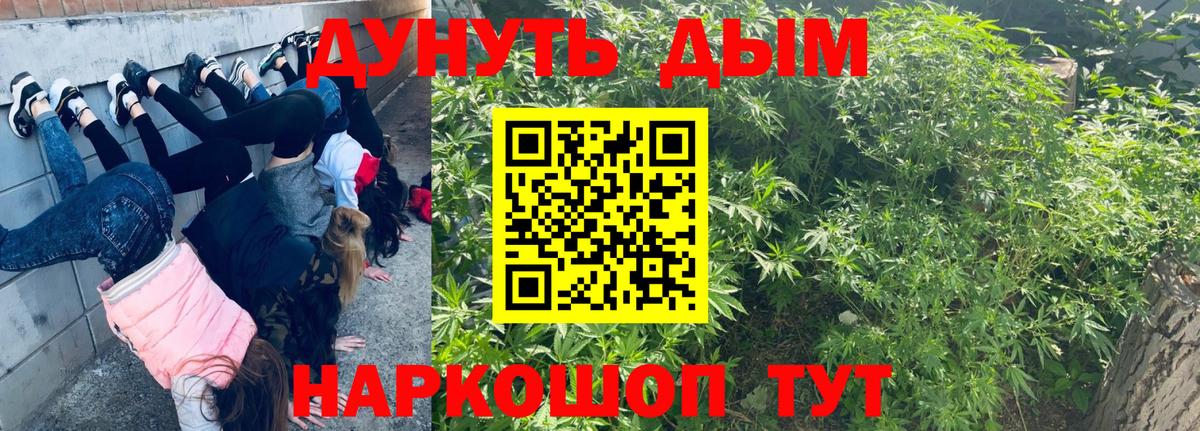 Шишки марихуана конопля  Бошки Шишки гибрид  Усть-Джегута  Вход с VPN 